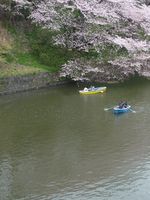 En barque sur la rivière