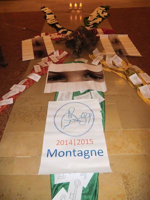 Année Montagne